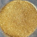 FINE NAIL GLITTER 5ml - GOLD 02