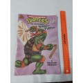 1990 TMNT THE INCREDIBLE SHRINKING TURTLES Teenage Mutant Ninja Turtles