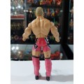 WWE 2005 KENNY DYKSTRA Wrestling Figure Jakks Pacific