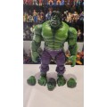 Marvel Legends Hulk Action Figure