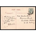 ORANGE FREE STATE 1905 VERY FINE SMALDEEL CANCEL ON PICTURE SIDE OF POSTCARD WITH BLUEBELL FLOWERS.
