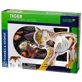 Thames & Kosmos Animal Anatomy Kit - Tiger