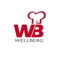WELLBERG 1.9L Stainless Steel Saucepan - Purple