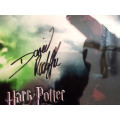 Harry Potter photo with Daniel Radcliffe signature and COA