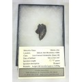 Sikhote-Alin Iron Meteorite Fragment in Presentation Box behind Glass