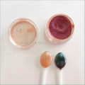 Nail Art Color Chrome Pigment Powder - 1g Jar