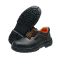 Finder Safety Shoes - Low Cut - Size 6 to 11