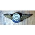 WW2 American Army Air Forces & Aircraft Warning Services Observer Badge - Awarded from 1941-1944