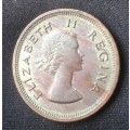 1953 Union 1/4 Penny in AU+