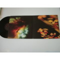 Animal collective - Merryweather post Pavilion - double vinyl Lp