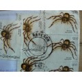 Letter airmail Zimbabwe to South Africa 2003 with 15 $200 spider stamps - some multiples