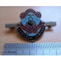 1954 Cape Province Women`s Agricultural Association CPWAA silver jubilee badge