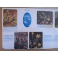 Vintage Bokomo sticker album: SA Wild Flowers - 8 stickers missing