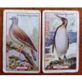Lot of 20 Gallaher`s cigarette cards early 1900s