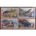 Lot of 20 Gallaher`s cigarette cards early 1900s