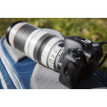 Canon 7D + Canon 100-400mm Mark II Lens + Free Tripod