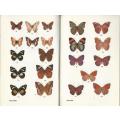 Butterflies of Rhodesia - R Cooper.  Bundu Series.