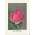 THE ROSE ANNUAL 1940. The National Rose Society.
