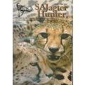 9 Editions of  `SA Jagter / Hunter` magazine. Feb 2001 - Oct 2001. Bid per item to take them all.