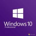 Wholesale Price Microsoft Windows 10 Professional 32/64bit