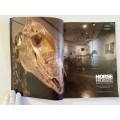 Horse Horse Multiple views of a singular Beast: Exhibition Catalogue Circa/Everard Read Gallery