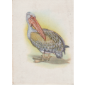 OUR SOUTH AFRICAN BIRDS CIGARETTE CARD NO, 3
