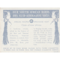 CIGARETTE CARD OUR SOUTH AFRICAN BIRDS NO. 83