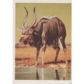 CIGARETTE CARD OUR SOUTH AFRICAN NATIONAL PARKS NO 44