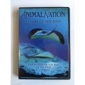 Animal Nation - Riddle Of The Rays DVD