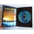 Animal Nation - Riddle Of The Rays DVD