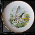 Royal Chelsea Plate 'Birds of the Countryside' The Mallard