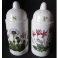 Portmeirion, Botannic Garden Salt and Pepper Shakers