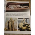 Pompeii - Large softcover filled with fascinating colour plates