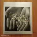 Diamond People - Alfred John Wannenburgh