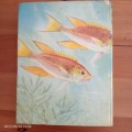 Smith`s Sea fishes - J.L.B. Smith, Margaret Smith ( illustrations )