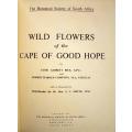 WILD FLOWERS OF THE CAPE OF GOOD HOPE (1951)