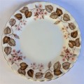 Royal Albert `Linden Lea` Replacement Plate (3 available)