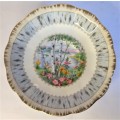 Royal Albert `Silver Birch` Replacement Saucer (2 available)