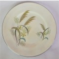 Royal Albert `Festival` Replacement Plate (2 available)