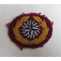 RECCE FIRST ISSUE BERET BADGE 1985-SMALL WITH COMPASS COLOURS REVERSED-GUARANTEED ORIGINAL-PAGE 156
