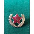 SA MEDICAL SERVICES 5 YEAR VOLUNTEER BREAST BADGE- APPROVED IN 1984- 2 PINS