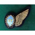 SAAF ELECTRONICS TECHNICIAN GOLD BULLION EMBROIDERED WING