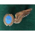 SAAF FLIGHT ATTENDANT FULL SIZE WING IN GOLD- 2 PINS