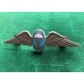 PARA INSTRUCTOR FULL SIZE WING WHITE METAL AND ENAMEL-INTRODUCED LATE 1962- 2 PINS