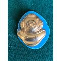 SA NAVY DIVER PART 1 WITH BLUE PLASTIC BACKING -APPROVED IN 1988- 2 PINS