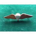 SA PARA DISPATCHER OR 50 JUMPS OR MORE MESS DRESS WING-GILT WINGS WITH LUCITE COVERED CENTRE-WORN FR