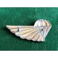 AIR SUPPLY,CHROME AND ENAMEL WING-FULL SIZE- 2 PINS