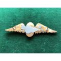 SA PARA INSTRUCTORS NIGHT JUMPERS-FULL SIZE WING,GILT WINGS WITH BLACK ENAMEL CENTRE- 2 PINS-NEVER U