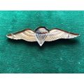 SA PARA NIGHT JUMPERS,FULL SIZE WING BRONZE WINGS WITH ENAMEL CENTRE-NEVER WORN- 2 PINS