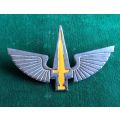 RECCE,PROTOTYPE BERET BADGE,PROPOSED IN 1979,CHROME WINGS,YELLOW SWORD- 2 PINS-IT WAS REPORTED THAT